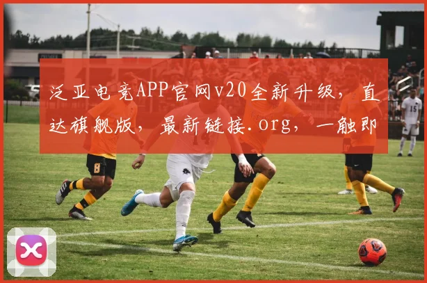 泛亚电竞APP官网v20全新升级，直达旗舰版，最新链接.org，一触即达