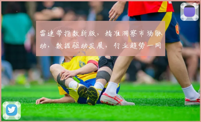 雷速带指数新版，精准洞察市场脉动，数据驱动发展，行业趋势一网打尽