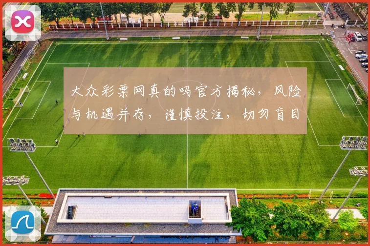 大众彩票网真的吗官方揭秘，风险与机遇并存，谨慎投注，切勿盲目