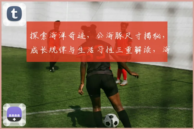 探索海洋奇迹，公海豚尺寸揭秘，成长规律与生活习性三重解读，海洋生物科普必备