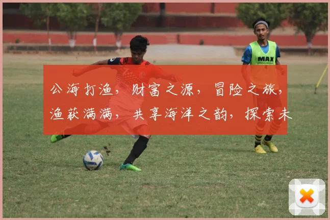 公海打渔，财富之源，冒险之旅，渔获满满，共享海洋之韵，探索未知，收获惊喜。